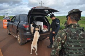 Exército participa de ação de combate a crimes na fronteira Oeste
