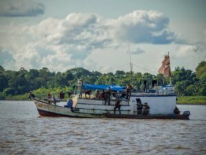 Exércitos brasileiro e francês realizam ações de combate a crimes em fronteira com Guiana