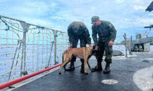 Cão de faro a bordo de navios da Marinha do Brasil