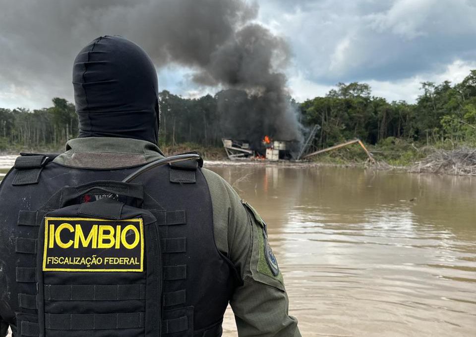 Exército Brasileiro combate crimes transfronteiriços e ambientais na região  Amazônica - Dialogo Americas