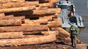 Militares da Marinha apreendem 90m³ de madeira na Amazônia