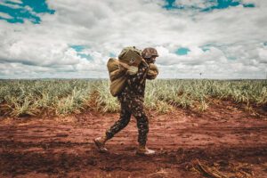 Missão cumprida! Soldados encerram o serviço militar e retornam à vida civilMissão cumprida!