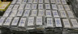 Brasil e Alemanha assinam cooperação para combater tráfico de drogas