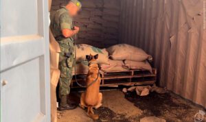 Operação interagências da GLO apreende 1,3 tonelada de cocaína no Porto do Rio