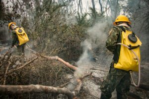 Exército segue no combate a incêndios no Pantanal