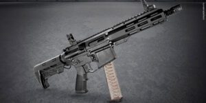 Tecnologia e Inovação: Taurus lança carabina T9 na plataforma AR, em calibre 9mm, a mais leve e única totalmente ambidestra