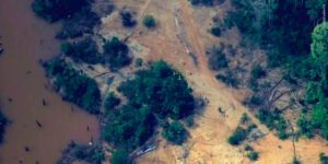 A Atuação da IVR na Operação Catrimani II