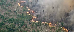 Amazônia é um dos biomas afetados pelos incêndios no Brasil