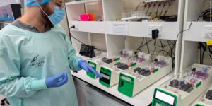 Computador Híbrido Biológico: A Revolução da Cortical Labs Une Cérebro e Silício