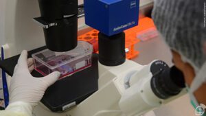 Marinha apresenta avanços em pesquisas biomédicas