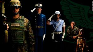 Infantaria da FAB: Segurança que começa no solo